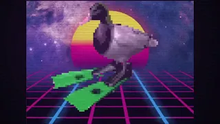 Duck Spinning - Vaporwave