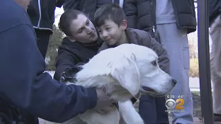 Autistic Boy Gets Service Dog