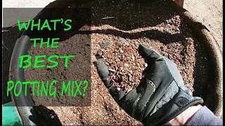 Best Potting Mix To Use With Container Plants | It Works On All Plants!!!