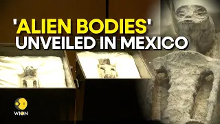 MEXICO UAP HEARING: Remains of 'non-human' beings showcased at UFO hearing | WION Originals