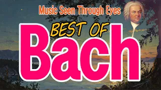 Johann Sebastian Bach Best #healingmusic #healingsoul #healing (바흐)