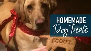 Homemade Peanut Butter Dog Treats