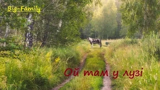 Ой там у лузі