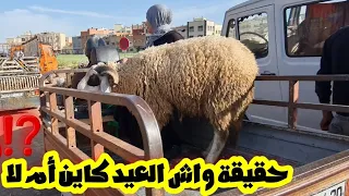 العيد كاين أم لا⁉️صباح أربعاء فسوق مكناس لحوالى وخروفة ونعجة 2024/04/17