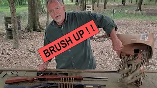 Brush Gun Cartridges - Chapter 1