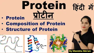 Protein | Structure of Protein | Composition of Protein | Protein in hindi
