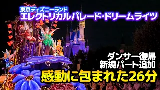 東京ディズニーランド・エレクトリカルパレード・ドリームライツ / 東京ディズニーランド : Tokyo Disneyland Electrical Parade Dreamlight