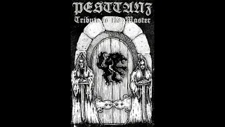 Pesttanz - Tribute to the Master (Single: 2020)