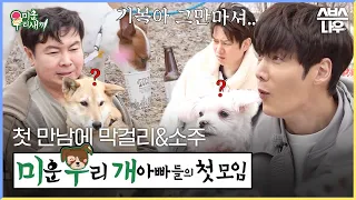 몽실X기복X순덕, 첫 만남부터 맥주에 막걸리? 🐶판이 된 미운 우리 개 아빠들의 소풍🤣ㅋㅋ #미운우리새끼 #MyLittleOldBoy | SBSNOW