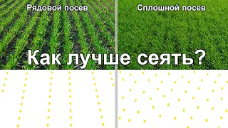 Откуда на сплошном посеве появляется ПРИБАВКА К УРОЖАЮ? Сравнение рядового и сплошного посева.