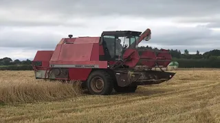 MF 27 Nivenhill Harvest 2021