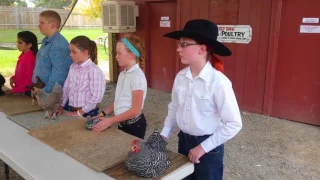 Rowan's 4H Chicken Showmanship