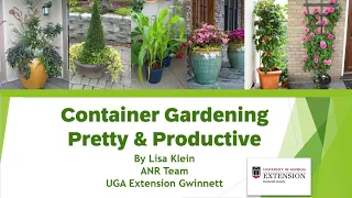 Container Gardens, Pretty and Productive!