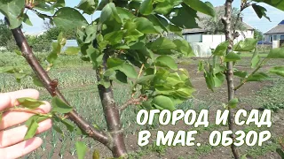 Майский сад и огород. Всё посажено. Обзор 19.05.2023. 1 часть | Скорняковы