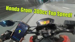 Honda Grom CBR300 Engine Swap Top speed! (2023) (Honda Grom 300cc)