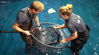 We renovated our Wave Tank - National Marine Aquarium