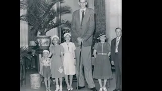 Robert wadlow edit