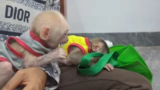 Today they are having fun with mommy and play with toy /smart monkey