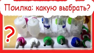 Поилка: какую выбрать?