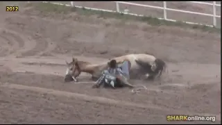 Fake Cowboys Terrorize and Kill Horses