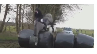 Подборка приколов ФЕВРАЛЬ 2015 ч.22 Best FAILWIN Compilation FEBRUARY 2015 part 22