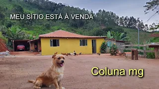 SÍTIO À VENDA | 10 HECTARES, PORQUE , VOU VOLTAR PRA CIDADE ? JÁCOME, MUNICÍPIO DE COLUNA MG