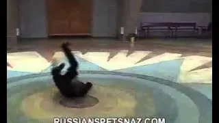 Боевая акробатика Русский Стиль