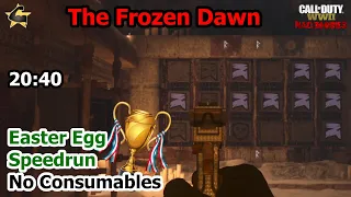 The Frozen Dawn Easter Egg Speedrun Solo World Record 20:40 (no consumables) WW2 Zombies