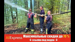 Спасатели потушили масштабный лесной пожар на Закарпатье.