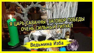 Я ЦАРЬ САВАННЫ. ЗАГОВОР ПОБЕДЫ. ОЧЕНЬ СИЛЬНО. ДЛЯ ВСЕХ. #ВЕДЬМИНАИЗБА ▶️ #МАГИЯ