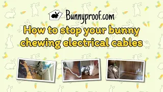 How to stop your bunny chewing electrical wires