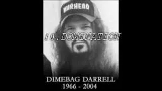 Top 10 Dimebag Darrell Guitar Riffs