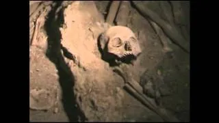 Raw Video: Ancient Cemetery Found in Mexico