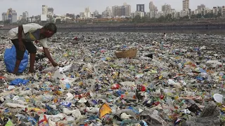 Verschmutzung und Krankheiten in Indien: Wie viel Müll kann ein Land ertragen?