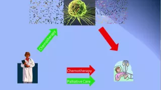 Integrative Oncology for Pancreatic Cancer Patients