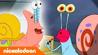 Bob Esponja | Una mascota como Gary | Nickelodeon en Español