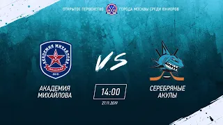 ОПМ (ЮХЛ) / АКМ (Новомосковск) vs ЗВЕЗДВ ХК Серебряные Акулы (Москва)