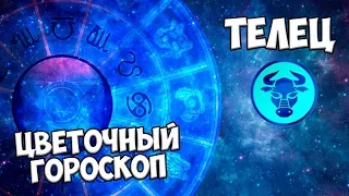 Цветочный гороскоп 🌸 Какие цветы соответствуют знаку телец? 🌸 Обзор HitsadTV