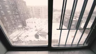 Super Storm Jonas from Brooklyn 2016