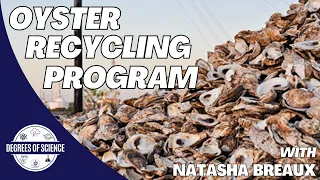 Oyster Recycling Program