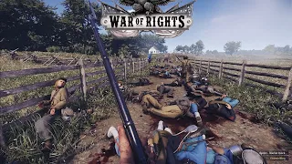 Extremely Disciplined Soldiers Engage In 300 Player BloodBath | WAR OF RIGHTS