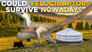 Could Velociraptors Thrive in Today's Ecosystem?