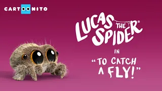 Lucas the Spider - To Catch A Fly - Short