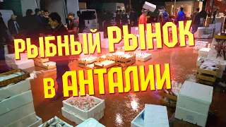 Оптовый рыбный рынок в Анталии | свежая турецкая рыба и морепродукты по низким ценам