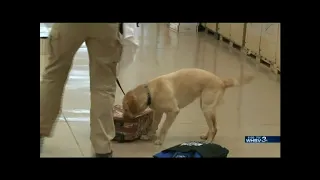 Rep. Goodlatte Visits ATF Canine Training Center