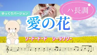 愛の花/あいみょん/ハ長調/【練習用動画】/【楽譜】/初心者/NHK連続テレビ小説『らんまん』主題歌【オカリナ演奏】Cover by Hiroko