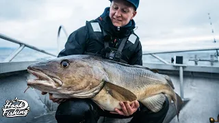 Cod Fishing in Norway - BEST Cod fishing in The World!