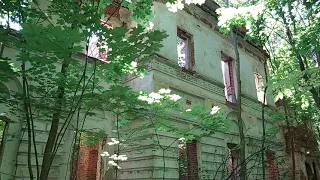 Руины усадьбы Голицыных