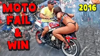 Motorcycle Fails and Wins 2016  Adorable Cat Riding Motorcycle!!!