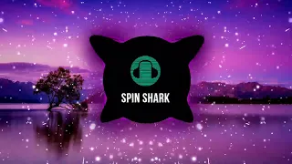 SPIN SHARK  -  Ilkay Sencan   DO IT My Neck, My Back REMIX [BASS BOOSTED]